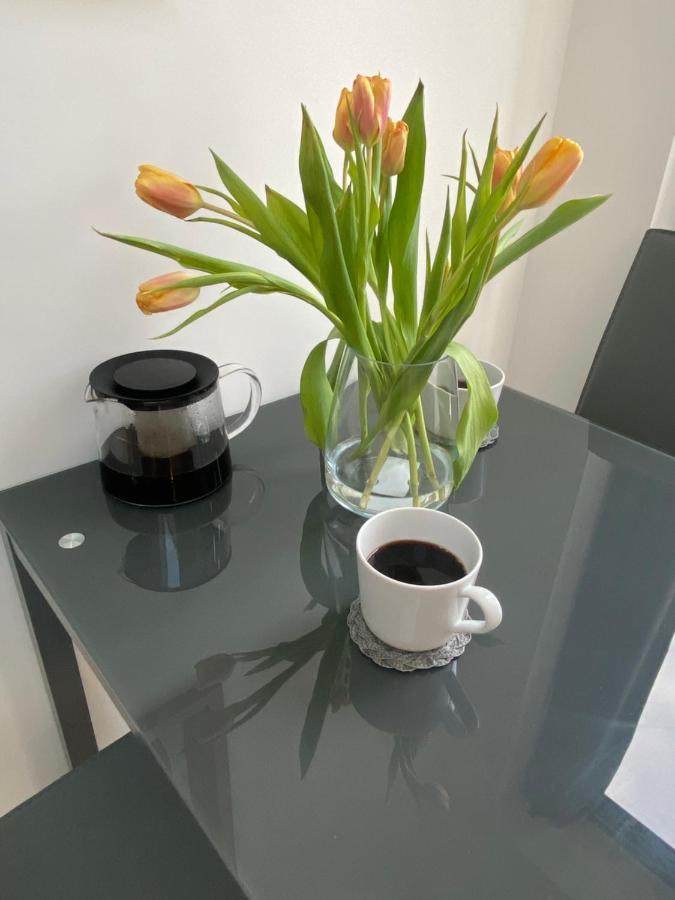 Lovely And Modern Studio Apartment. Borehamwood Exteriér fotografie